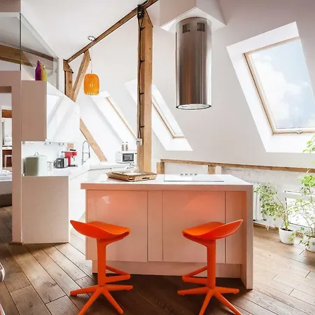 Exclusive Park Loft Limanowskiego By Renters